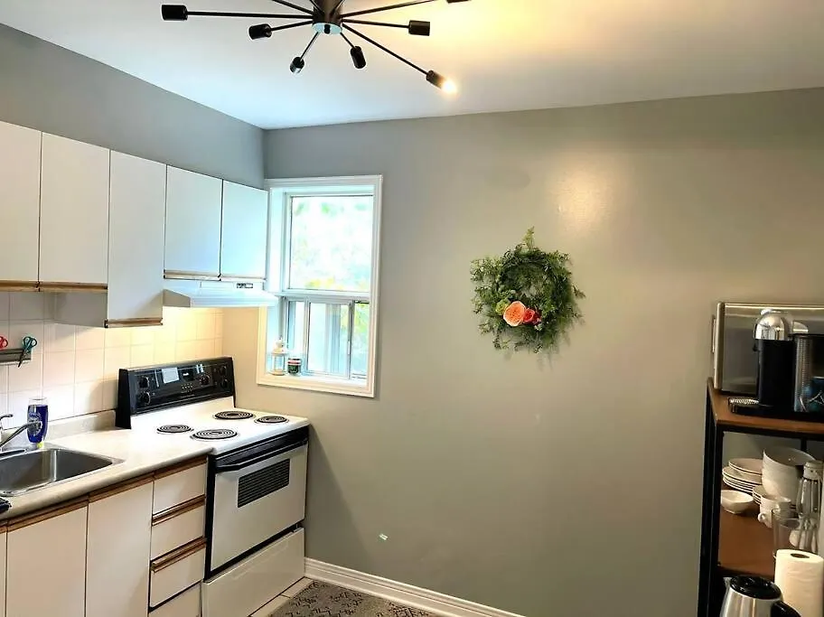 Superb Spacious Loft Old Toronto Near Distillery District 0*,